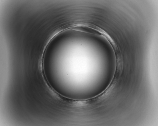 X0000099930810200805231229