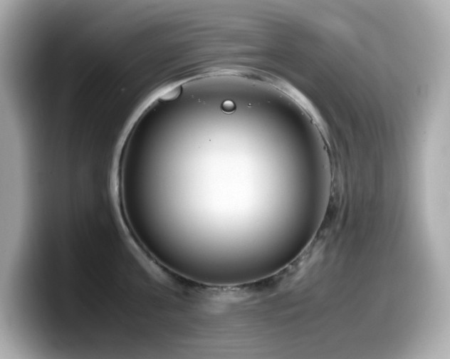 X0000099930811200805231229