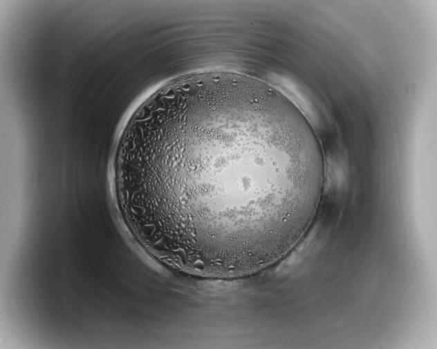 X0000099930812200805231229