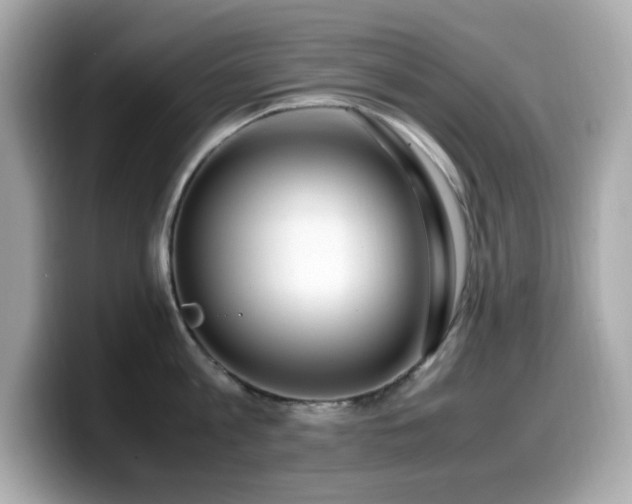 X0000099930813200805231229