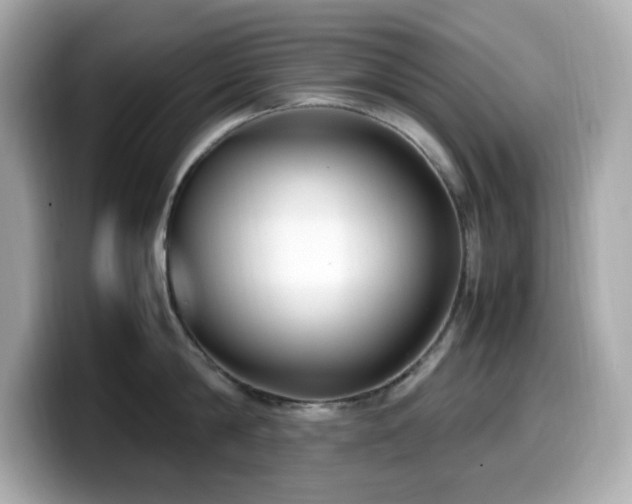 X0000099930814200805231229