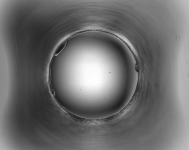 X0000099930815200805231229