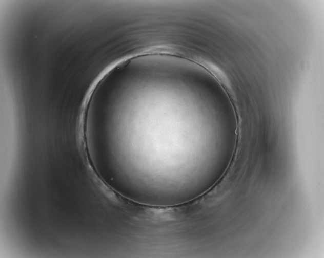 X0000099930816200805231229