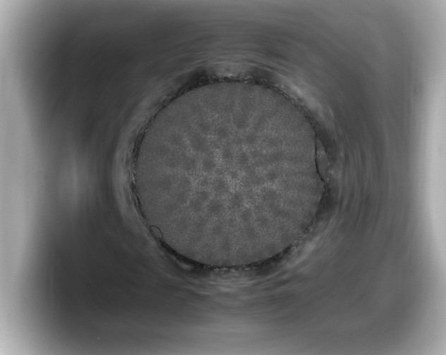 X0000099930817200805231228