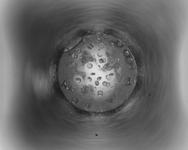 X0000099930818200805231228