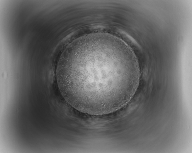 X0000099930821200805231228