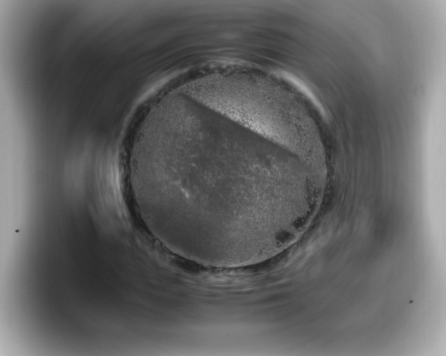 X0000099930823200805231228