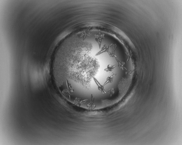 X0000099930826200805231228
