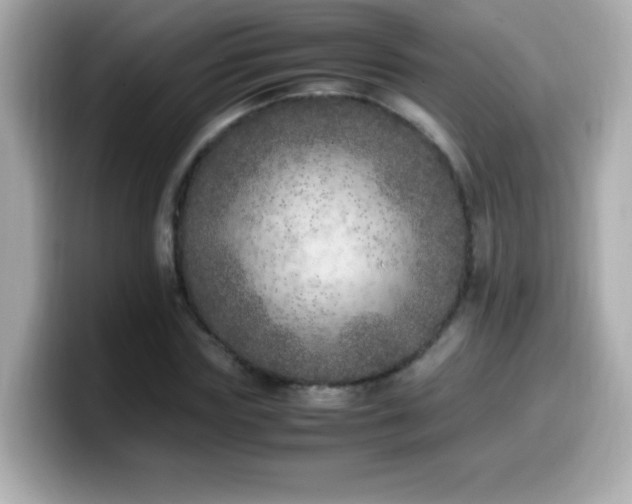 X0000099930827200805231228