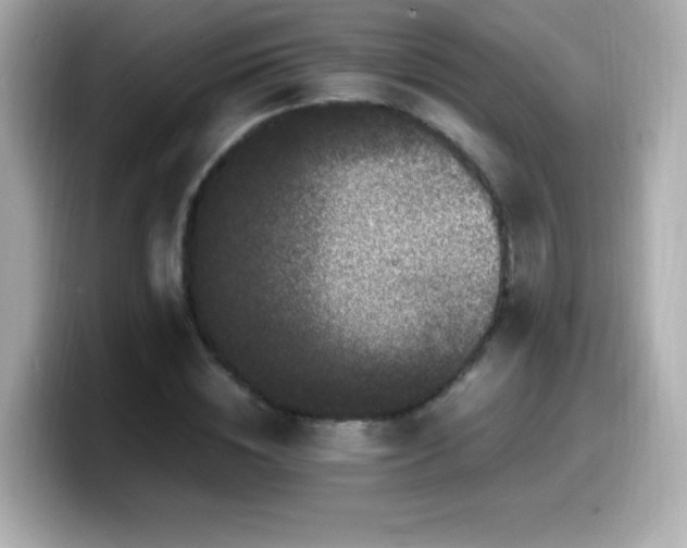 X0000099930828200805231228
