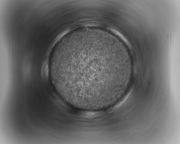 X0000099930829200805231228