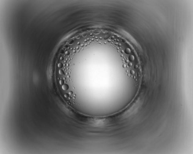 X0000099930831200805231228