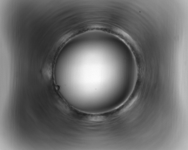 X0000099930833200805231228