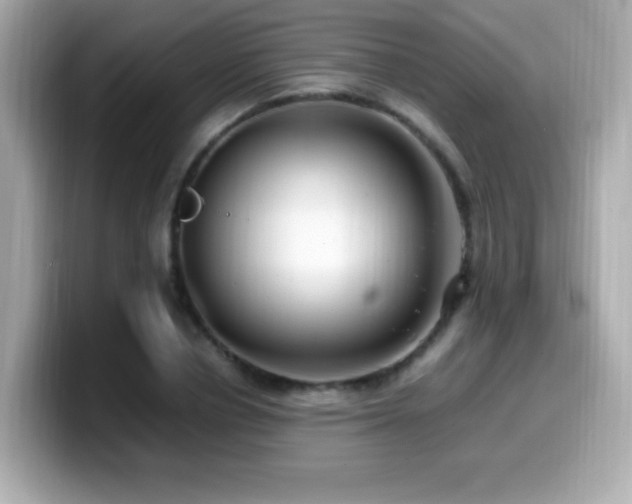 X0000099930834200805231228