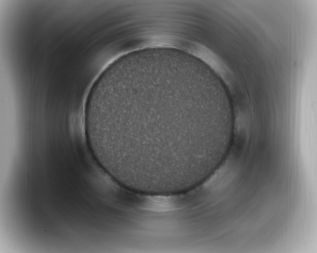 X0000099930836200805231228