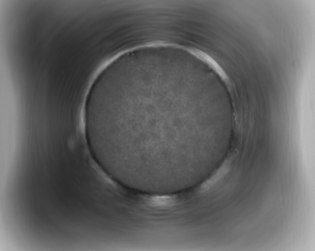X0000099930839200805231228