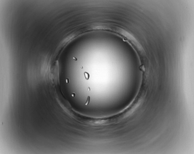 X0000099930841200805231229