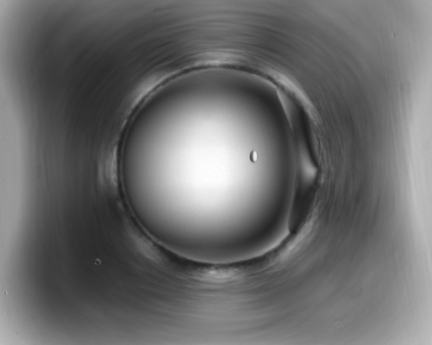 X0000099930842200805231229