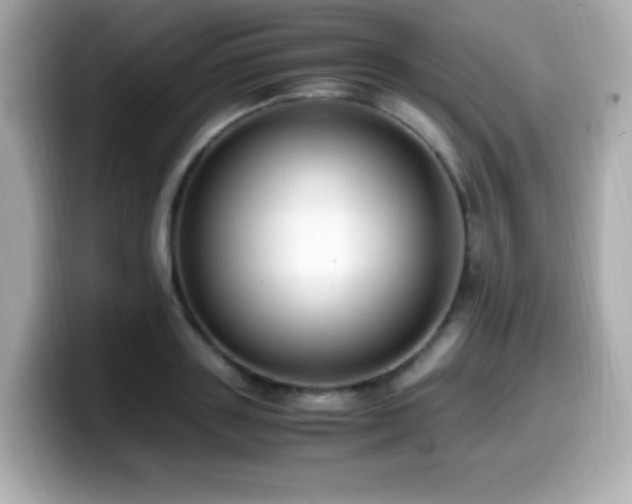 X0000099930843200805231229
