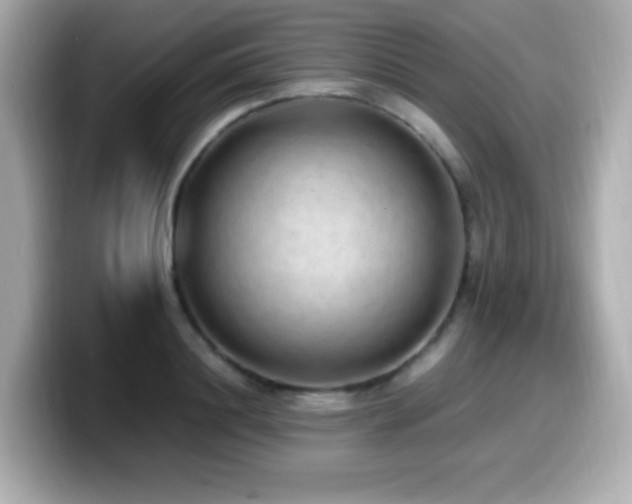 X0000099930844200805231229