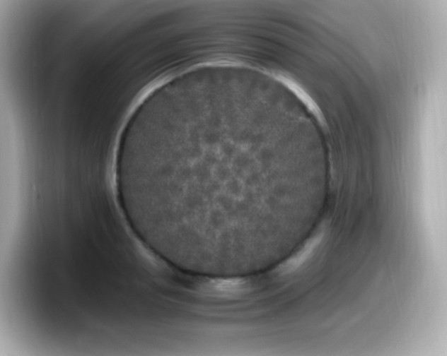 X0000099930845200805231229