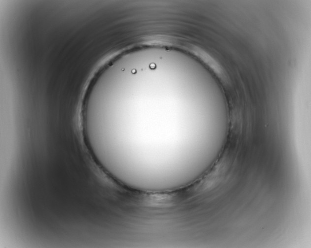 X0000099930848200805231229