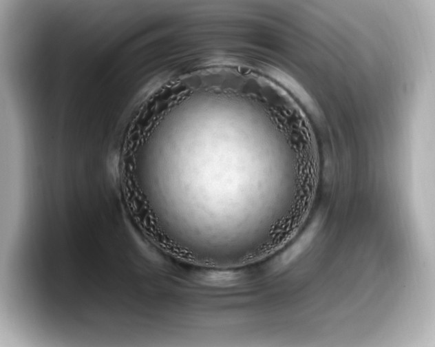 X0000099930849200805231229
