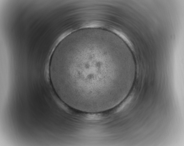X0000099930850200805231229