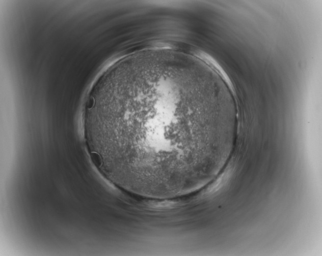 X0000099930851200805231229