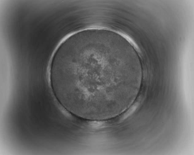 X0000099930854200805231229