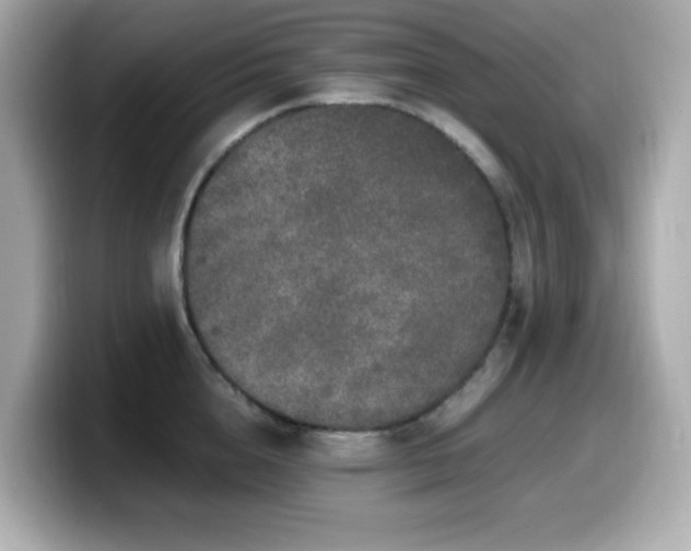X0000099930856200805231229