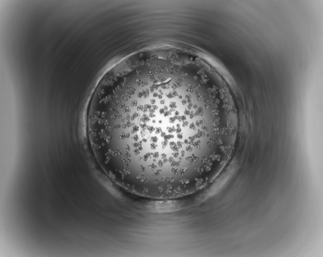 X0000099930858200805231229