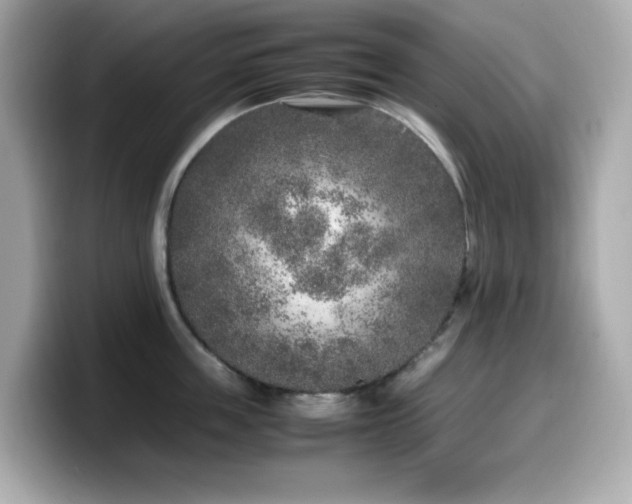 X0000099930859200805231229