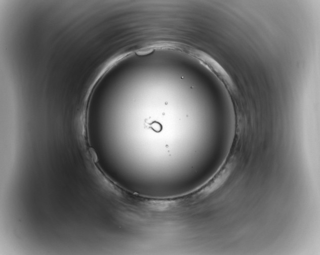 X0000099930860200805231229