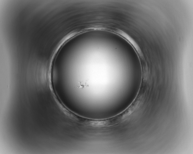 X0000099930861200805231229