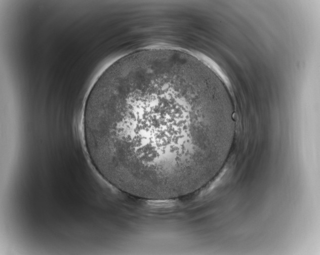 X0000099930863200805231229