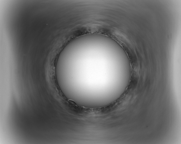 X0000099930865200805231228