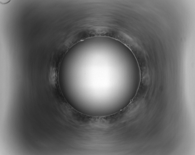 X0000099930866200805231228