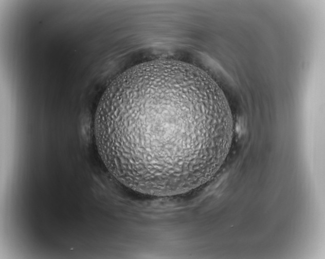 X0000099930867200805231228