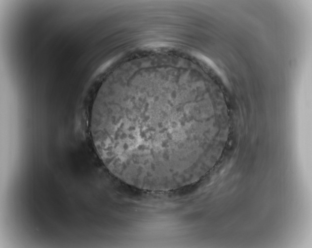 X0000099930871200805231228
