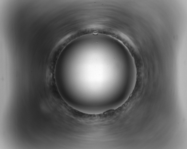 X0000099930872200805231228