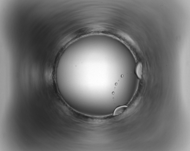 X0000099930873200805231228