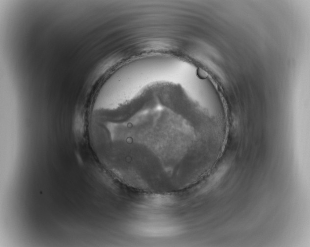 X0000099930874200805231228