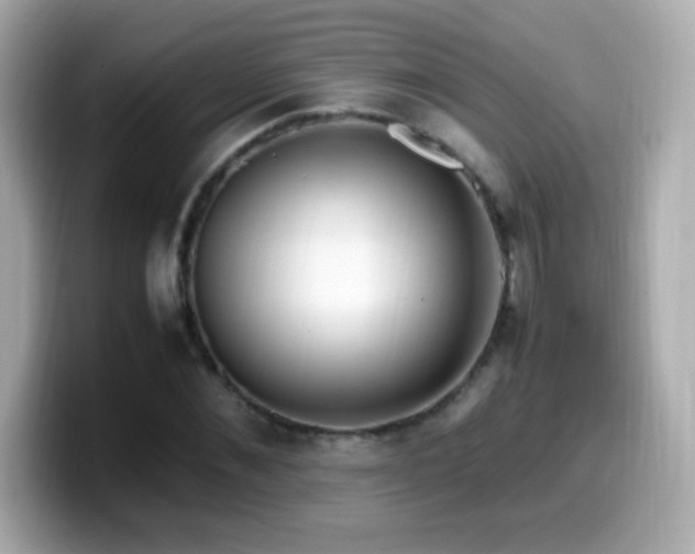 X0000099930876200805231228