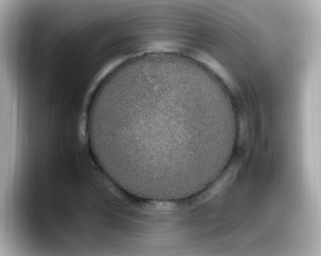 X0000099930878200805231228