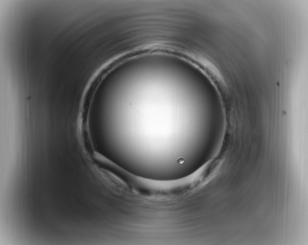 X0000099930880200805231228