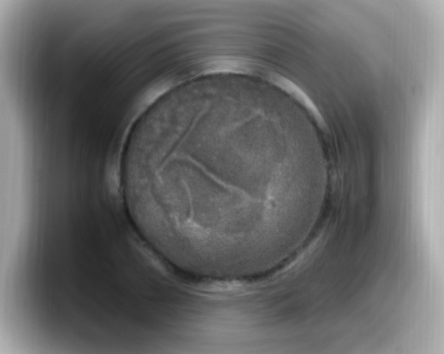 X0000099930882200805231228