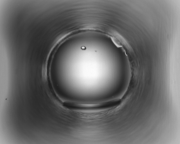 X0000099930884200805231228