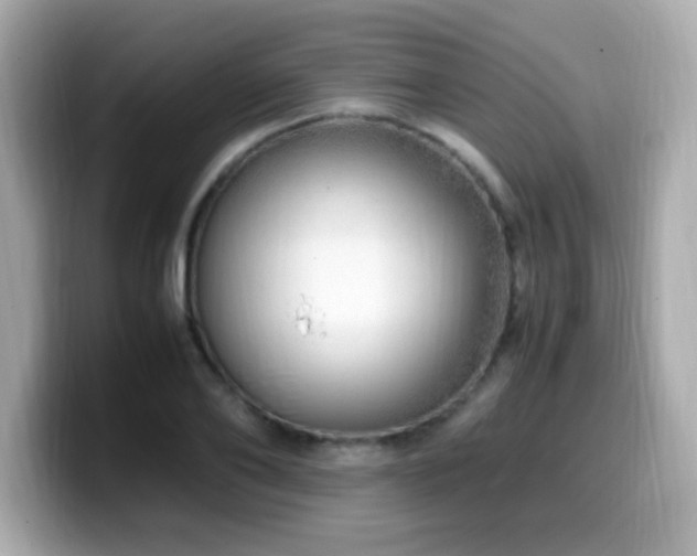 X0000099930886200805231228