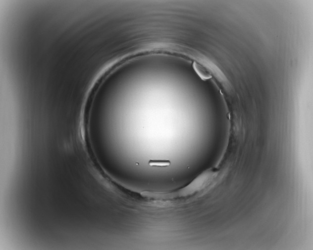X0000099930888200805231228